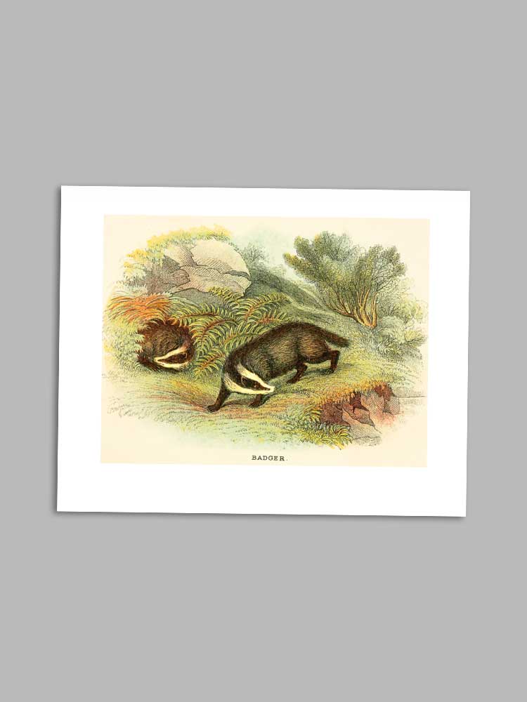 Badger - petite greeting card