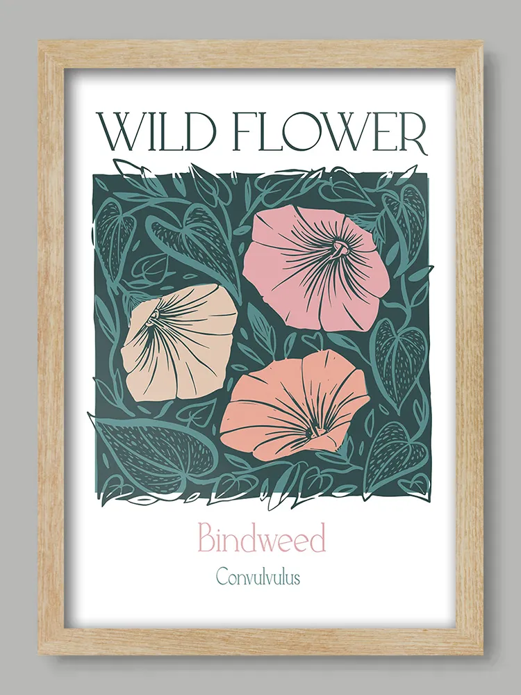 Bindweed Print - Image 3