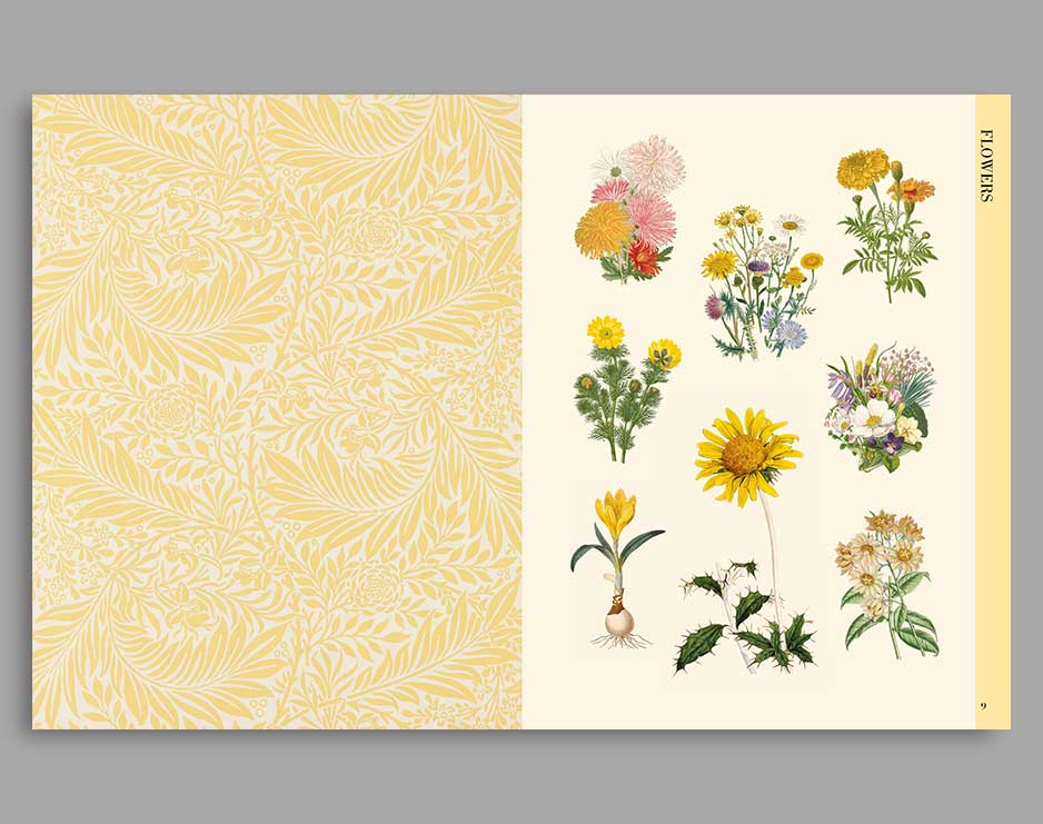 Botanical Art - cut out and collage - Image 4