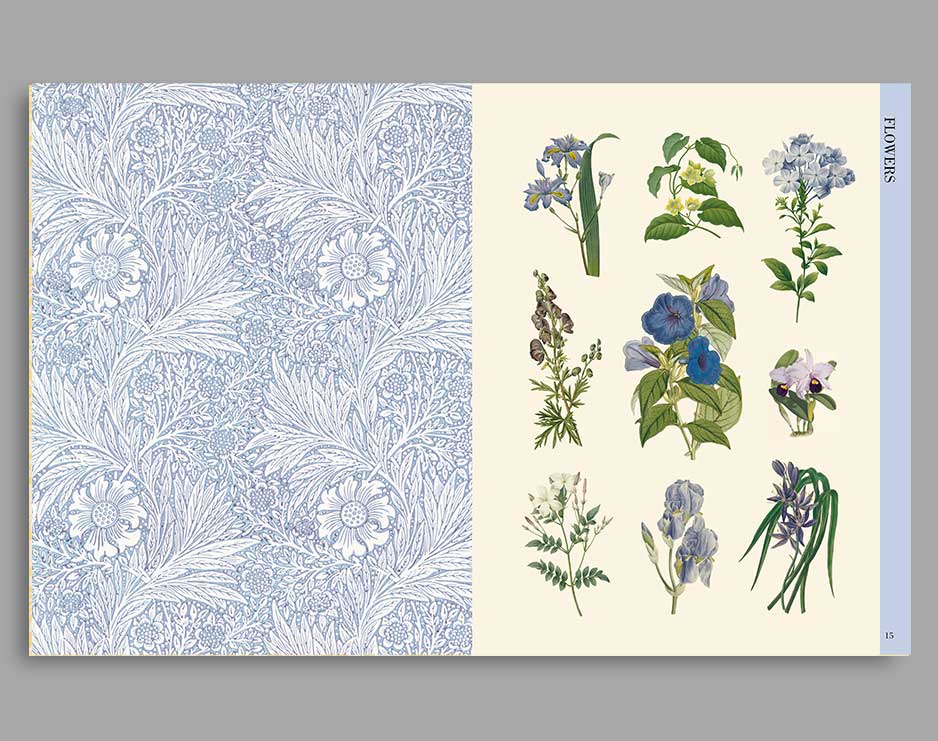 Botanical Art - cut out and collage - Image 5