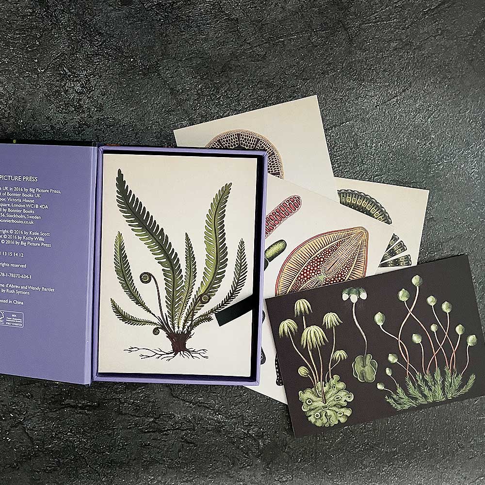 Botanical - Box Set of 50 Postcards - Image 3