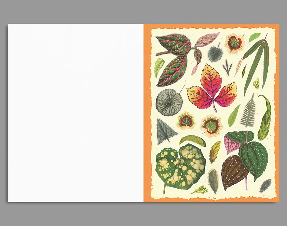 Cut Out Curiosities - Botanica - Image 2