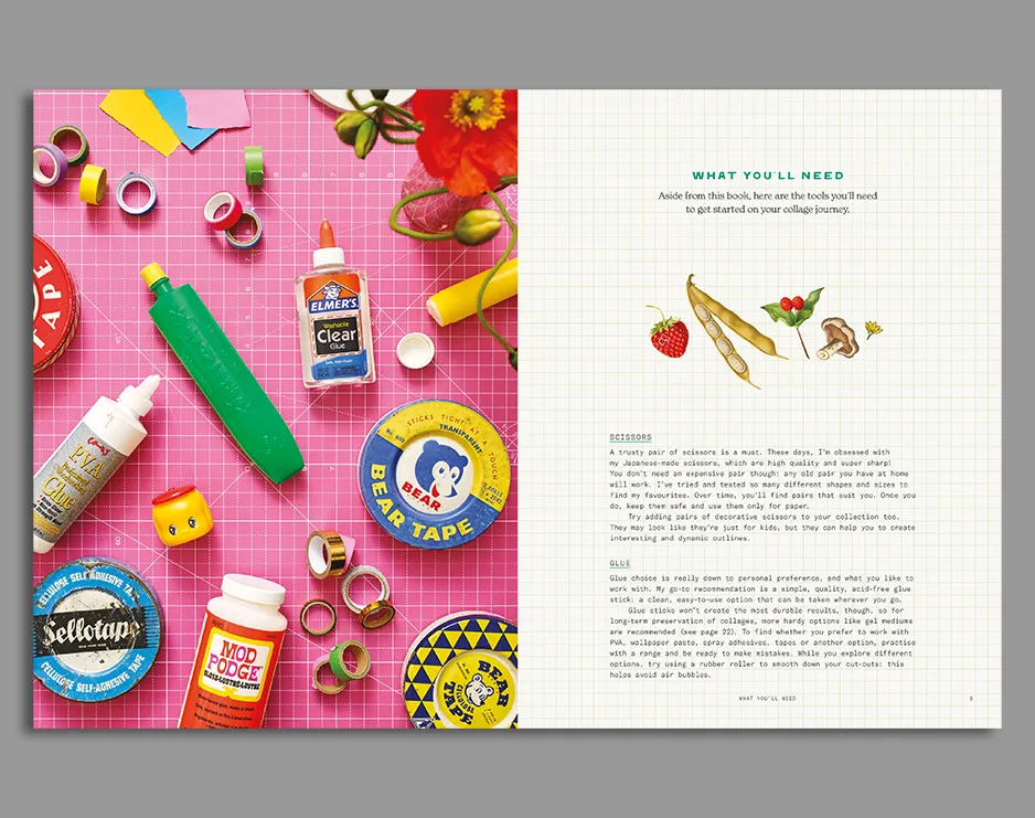 Cut Out Curiosities - Botanica - Image 3