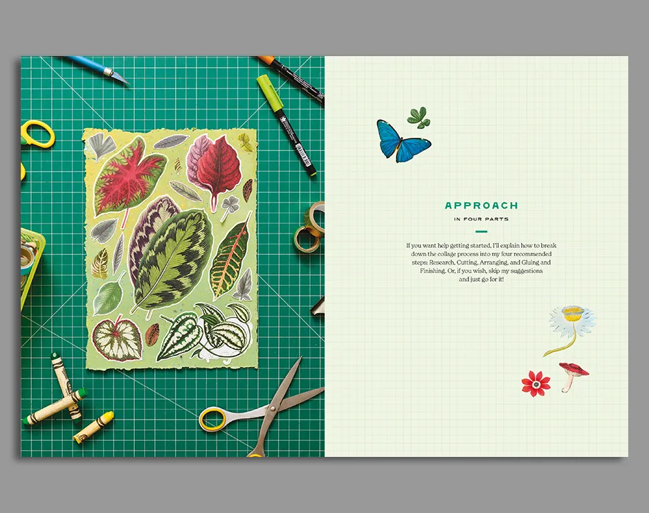 Cut Out Curiosities - Botanica - Image 4