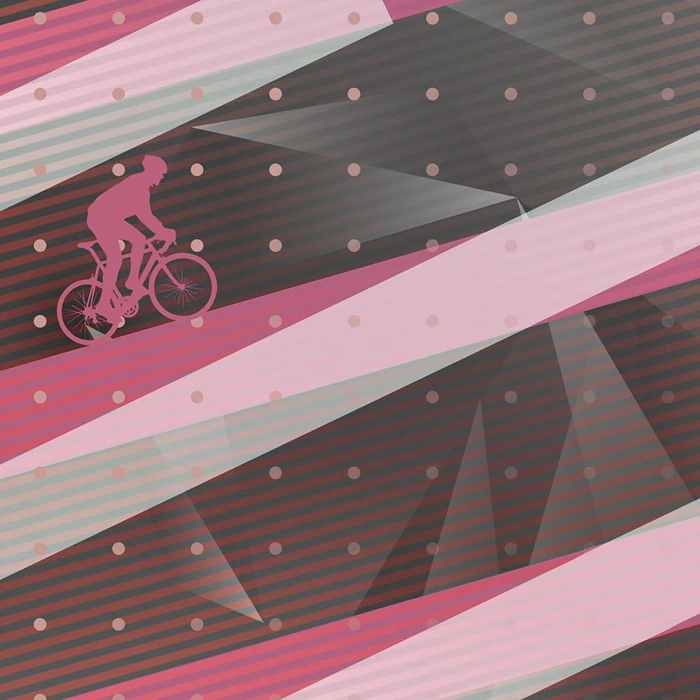 Passo Dello Stelvio - Cycling Climb Print - Image 4
