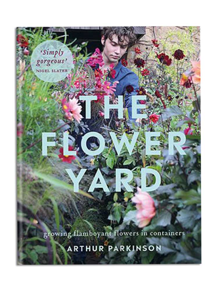 The Flower Yard: Growing Flamboyant Flowers in Containers
