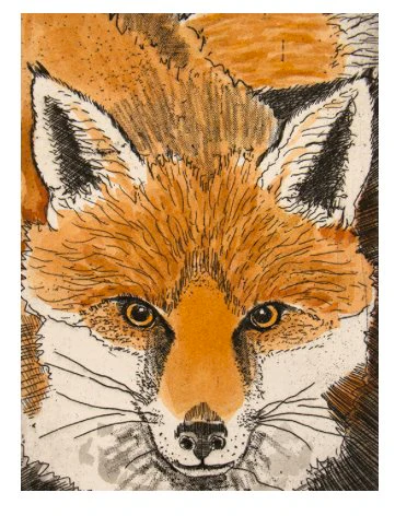 Fox - Blank Greeting Card
