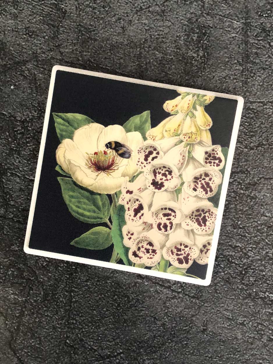 Foxglove Botanical Coaster