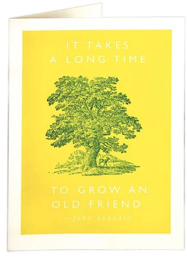 Friendship Quote - Blank Greeting Card
