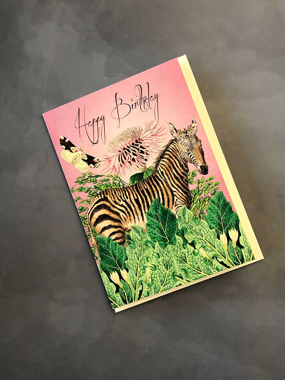 Happy Birthday Zebra Design Card - Blank Greeting Card