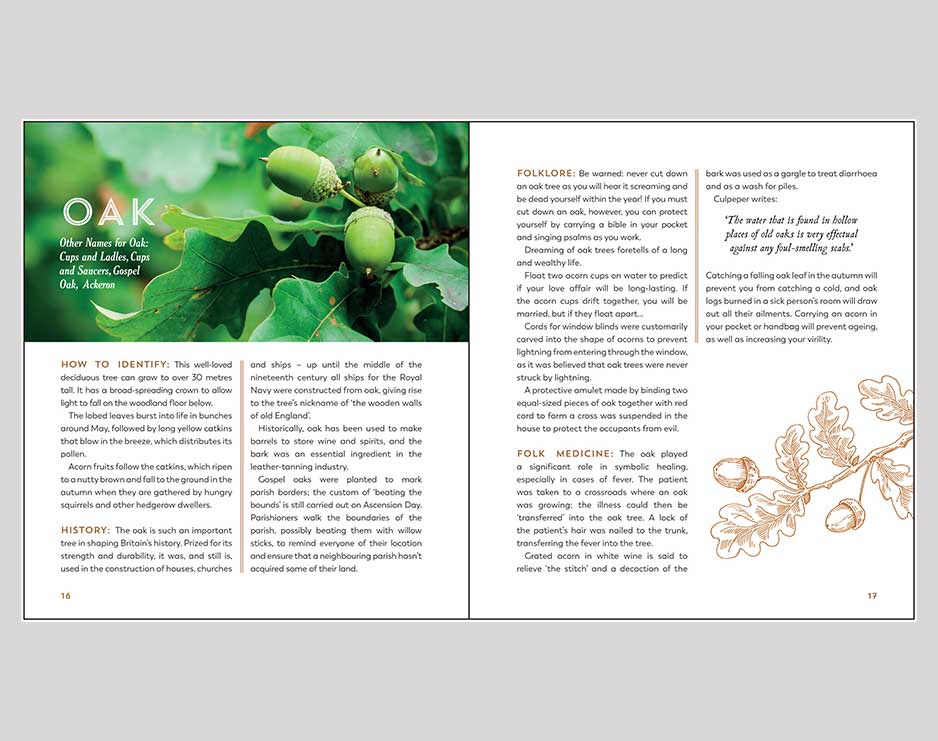 Hedgerow Apothecary -Recipes, Remedies & Rituals - Image 4