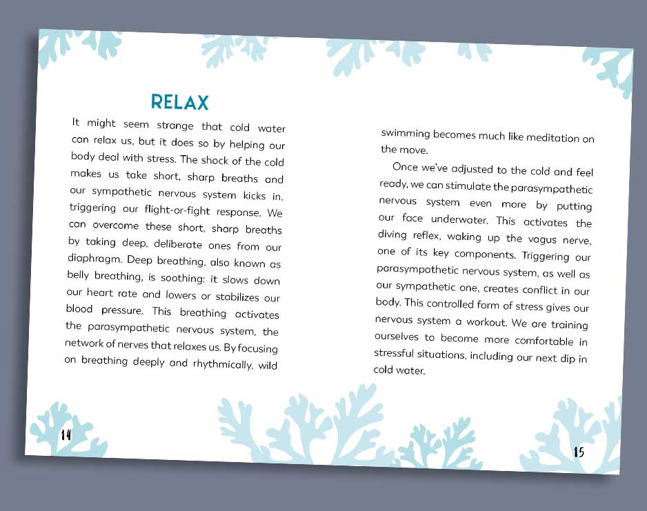 Little Books for Wild Swimmers - Image 3