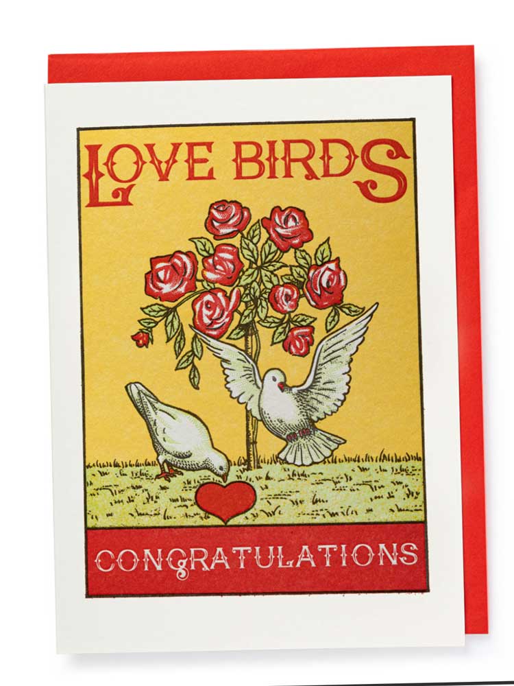 Love Birds - Blank Greeting Card