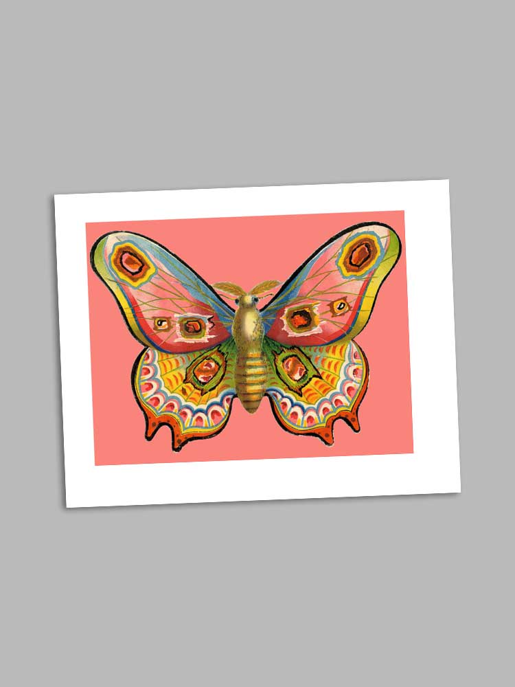 Pink Butterfly - petite greeting card