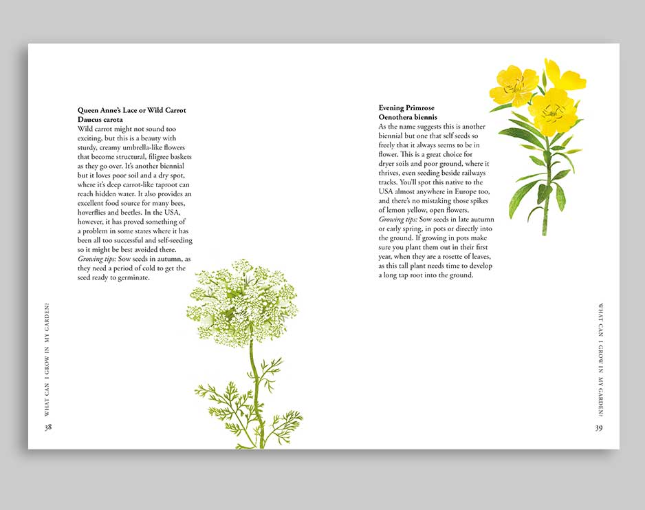 Planting Wildflowers - Image 2