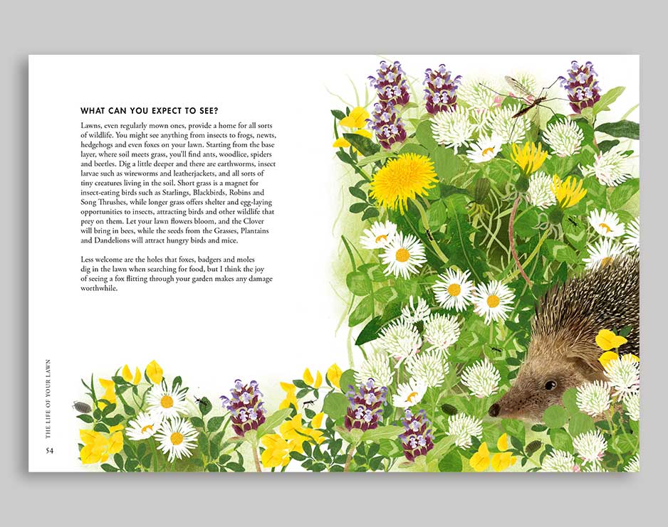 Planting Wildflowers - Image 4