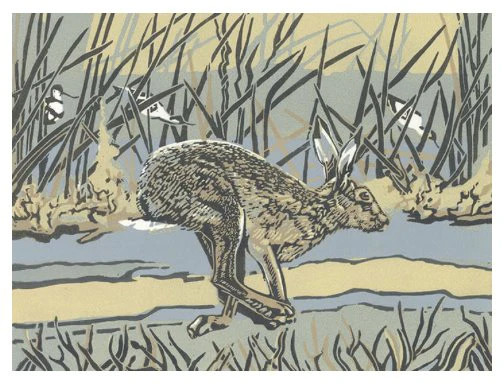 Saltmarsh Hare by Max Angus - Blank Greeting Card