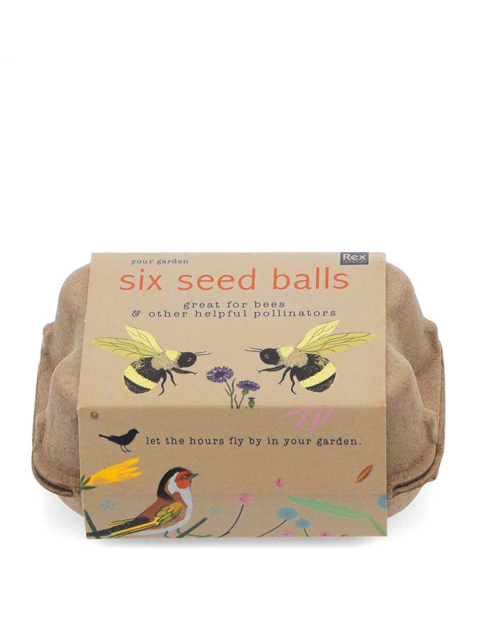 Seed Ball Box - Image 2