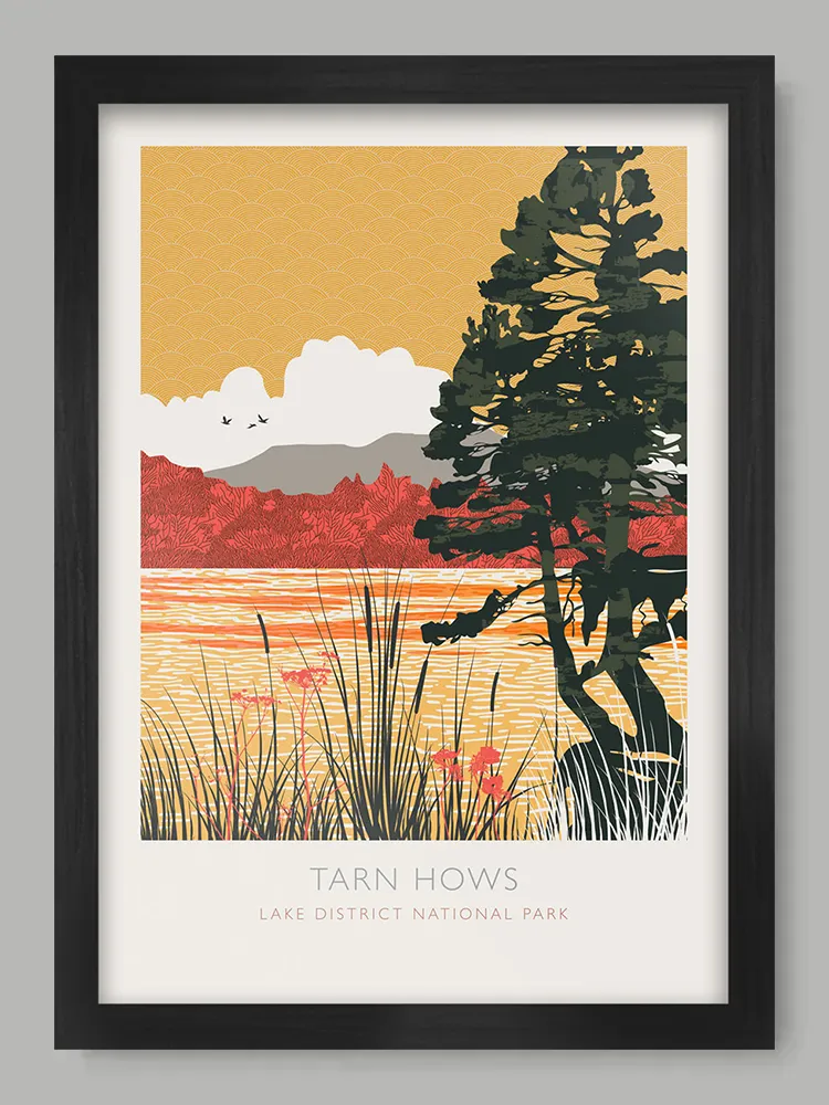 Tarn Hows Reflections - Lake District Print