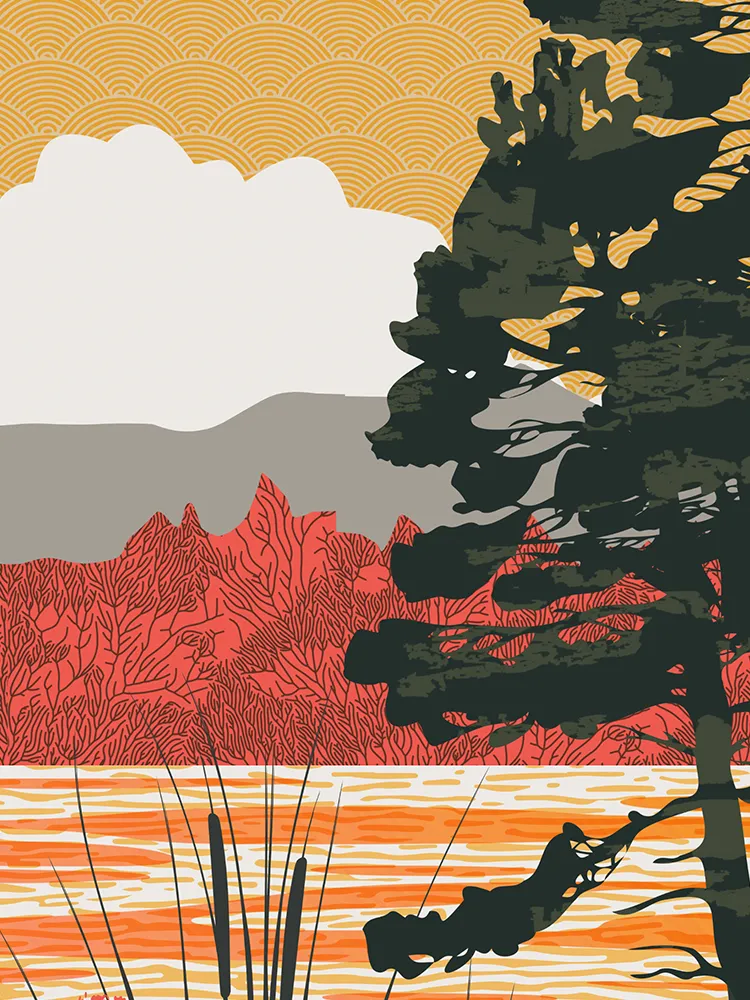 Tarn Hows Reflections - Lake District Print - Image 4
