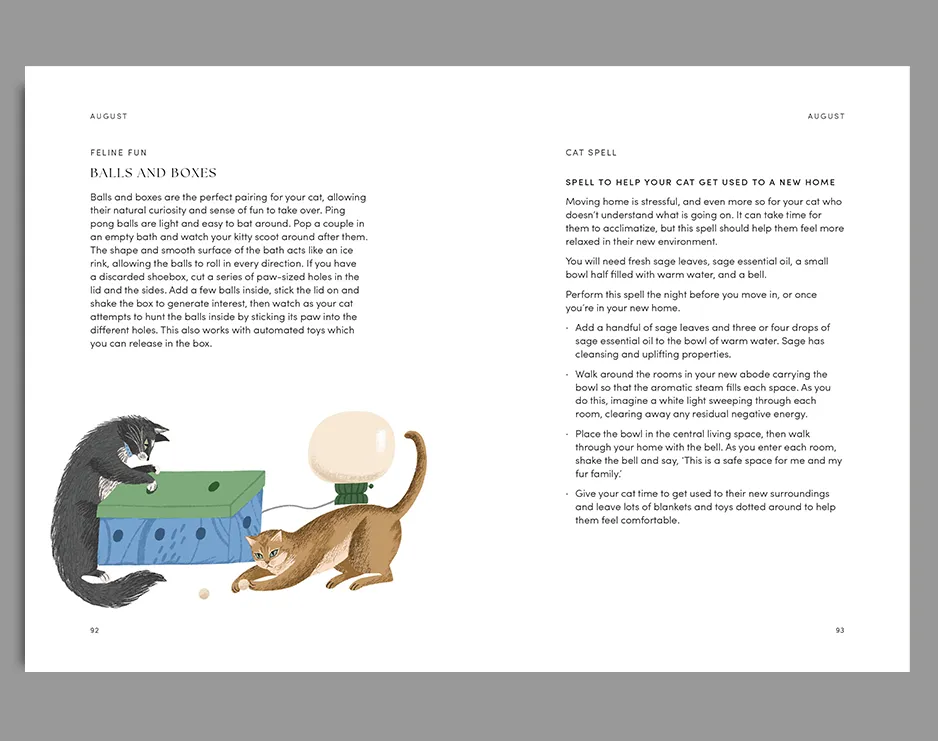 The Cat Year - Image 3