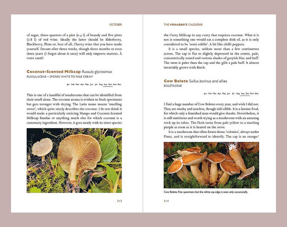 The Foragers Calendar Book - Image 3