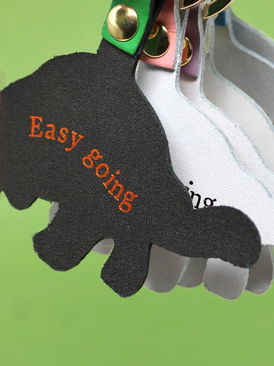 Tortoise Key Ring - Image 2