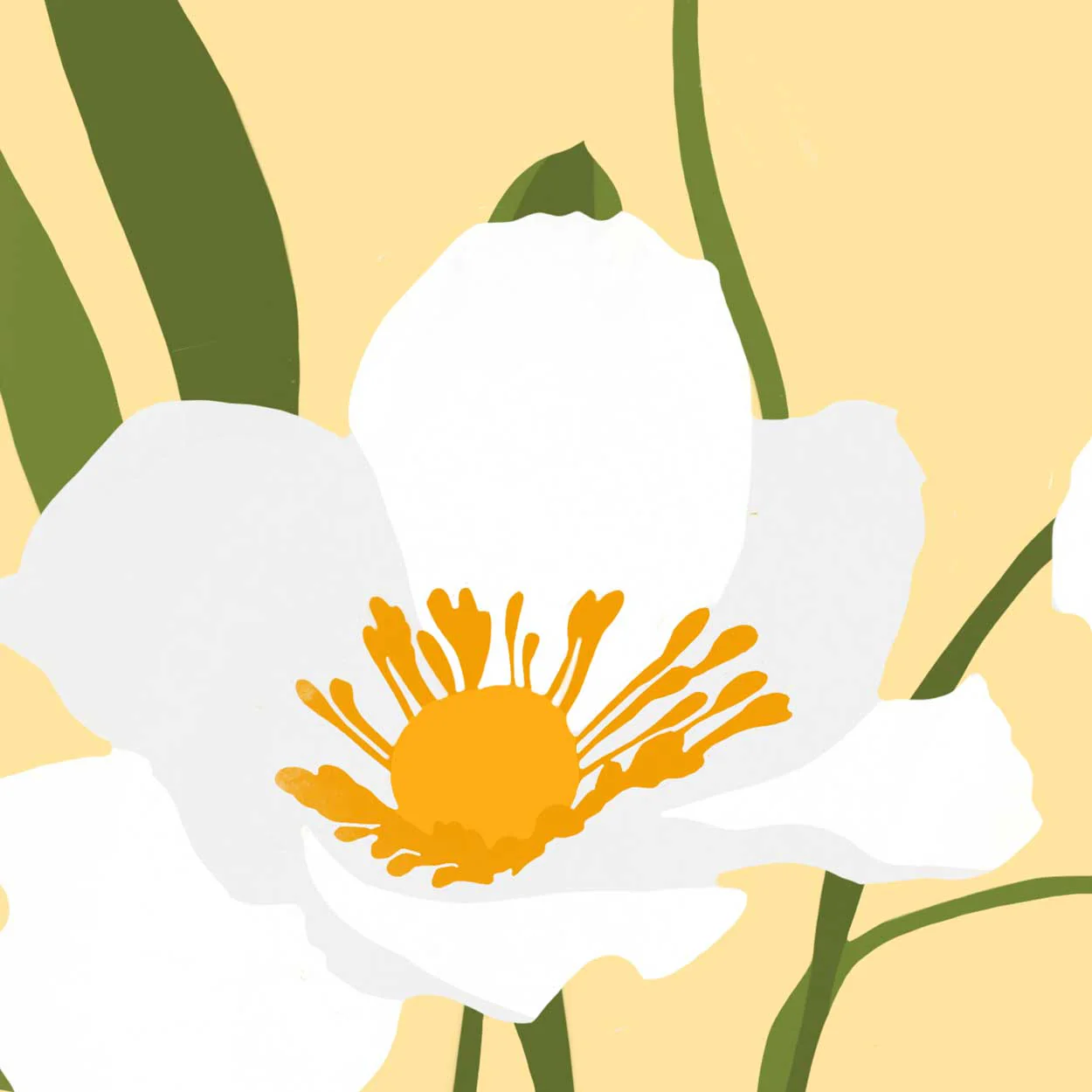 White Poppies Print - Image 4