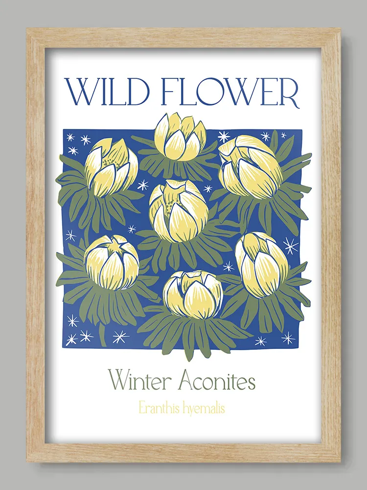 Winter Aconites Print - Image 3
